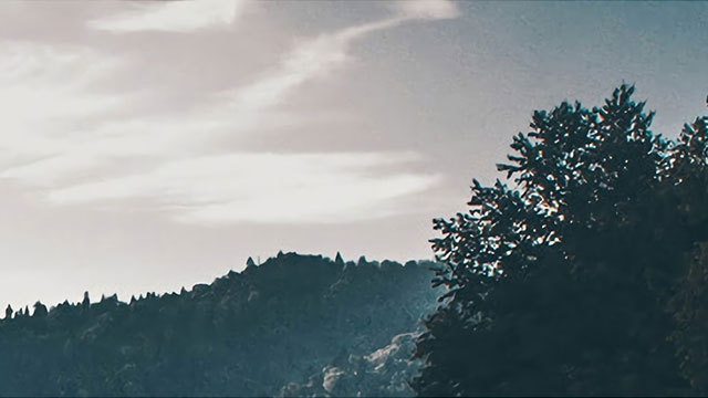 花开月正圆剧情介绍_花开月正圆剧情介绍电视猫